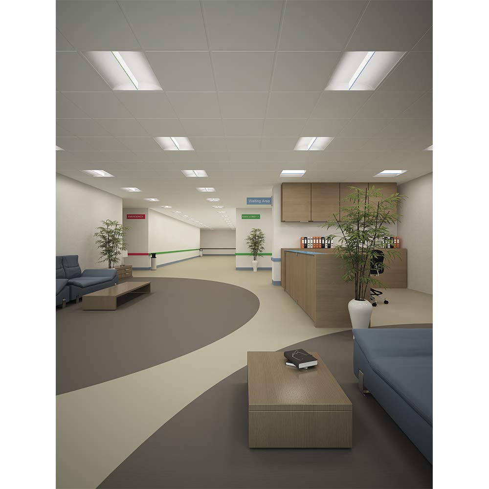 Metalux 24SR-LD2-48-C-UNV-L840-CD1-U Sky Ridge 2x4 4800 lm